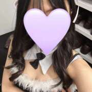 ヒメ日記 2025/04/19 01:33 投稿 かこ みつばちマーヤZ