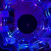 ヒメ日記 2025/04/20 00:45 投稿 かこ みつばちマーヤZ