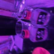 ヒメ日記 2025/05/10 22:20 投稿 かこ みつばちマーヤZ