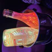 ヒメ日記 2025/06/22 01:46 投稿 かこ みつばちマーヤZ