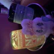 ヒメ日記 2025/07/23 22:56 投稿 かこ みつばちマーヤZ