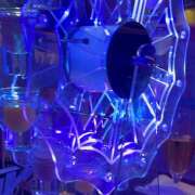 ヒメ日記 2025/07/27 00:23 投稿 かこ みつばちマーヤZ