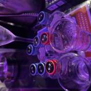 ヒメ日記 2025/09/15 19:59 投稿 かこ みつばちマーヤZ