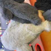 ヒメ日記 2025/10/25 00:51 投稿 かこ みつばちマーヤZ