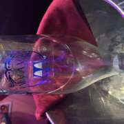 かこ たいきん！ みつばちマーヤZ