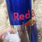 ヒメ日記 2024/12/29 21:51 投稿 なつき ポッキリ学園 ～モテモテハーレムごっこ～