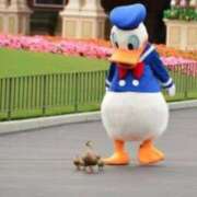 ヒメ日記 2025/01/20 11:41 投稿 なつき ポッキリ学園 ～モテモテハーレムごっこ～