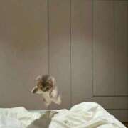 ヒメ日記 2025/04/24 23:11 投稿 なつき ポッキリ学園 ～モテモテハーレムごっこ～