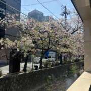 ヒメ日記 2025/04/25 21:55 投稿 なつき ポッキリ学園 ～モテモテハーレムごっこ～