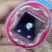 ヒメ日記 2025/05/03 23:38 投稿 なつき ポッキリ学園 ～モテモテハーレムごっこ～