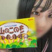 ヒメ日記 2025/06/18 16:21 投稿 なつき ポッキリ学園 ～モテモテハーレムごっこ～