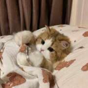 ヒメ日記 2025/07/06 17:31 投稿 なつき ポッキリ学園 ～モテモテハーレムごっこ～