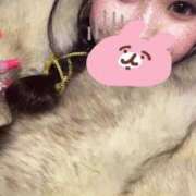 ヒメ日記 2025/08/21 15:41 投稿 なつき ポッキリ学園 ～モテモテハーレムごっこ～