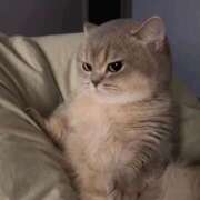 ヒメ日記 2025/08/31 16:11 投稿 なつき ポッキリ学園 ～モテモテハーレムごっこ～