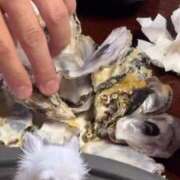 ヒメ日記 2026/01/01 20:11 投稿 なつき ポッキリ学園 ～モテモテハーレムごっこ～