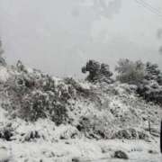 ヒメ日記 2026/01/02 21:01 投稿 なつき ポッキリ学園 ～モテモテハーレムごっこ～