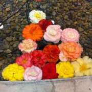 ヒメ日記 2024/12/14 11:47 投稿 みこ 熟女家 十三店