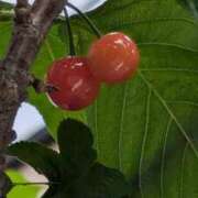 ヒメ日記 2025/05/23 10:34 投稿 みこ 熟女家 十三店