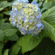 ヒメ日記 2025/05/25 10:58 投稿 みこ 熟女家 十三店