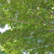 ヒメ日記 2025/06/16 12:12 投稿 みこ 熟女家 十三店