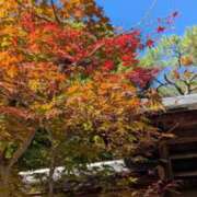 ヒメ日記 2025/10/26 11:08 投稿 みこ 熟女家 十三店