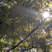 ヒメ日記 2025/10/27 11:47 投稿 みこ 熟女家 十三店