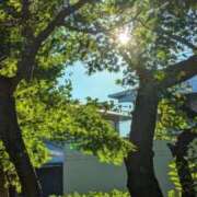 ヒメ日記 2025/10/31 10:38 投稿 みこ 熟女家 十三店