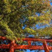 ヒメ日記 2025/11/05 10:31 投稿 みこ 熟女家 十三店