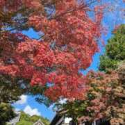 ヒメ日記 2025/11/07 10:17 投稿 みこ 熟女家 十三店