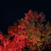 ヒメ日記 2025/11/16 12:25 投稿 みこ 熟女家 十三店