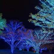 ヒメ日記 2025/11/17 11:21 投稿 みこ 熟女家 十三店