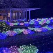 ヒメ日記 2025/11/22 17:16 投稿 みこ 熟女家 十三店