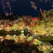 ヒメ日記 2025/12/04 15:17 投稿 みこ 熟女家 十三店