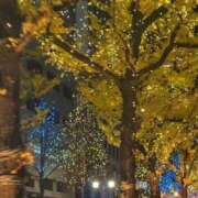 ヒメ日記 2025/12/23 11:30 投稿 みこ 熟女家 十三店