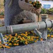 ヒメ日記 2026/01/22 11:39 投稿 みこ 熟女家 十三店