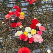 ヒメ日記 2026/01/25 11:02 投稿 みこ 熟女家 十三店