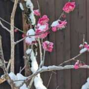 ヒメ日記 2026/02/10 10:19 投稿 みこ 熟女家 十三店