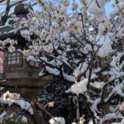 ヒメ日記 2026/02/14 11:30 投稿 みこ 熟女家 十三店