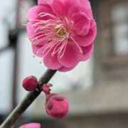 ヒメ日記 2026/02/24 10:13 投稿 みこ 熟女家 十三店