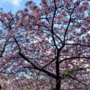 ヒメ日記 2026/03/09 12:13 投稿 みこ 熟女家 十三店