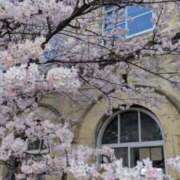 ヒメ日記 2026/03/20 11:29 投稿 みこ 熟女家 十三店