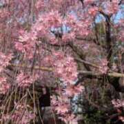 ヒメ日記 2026/03/29 12:14 投稿 みこ 熟女家 十三店