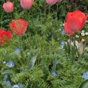 ヒメ日記 2026/04/03 10:21 投稿 みこ 熟女家 十三店