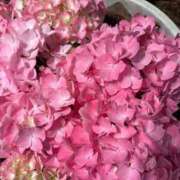 ヒメ日記 2026/04/26 13:30 投稿 みこ 熟女家 十三店