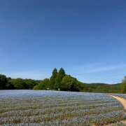 ヒメ日記 2025/05/13 13:26 投稿 なつき HEAVEN Hand