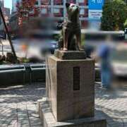 ヒメ日記 2026/04/28 22:01 投稿 めい ドンファン