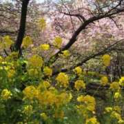 れい 木曜日 町田人妻浮気現場
