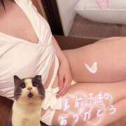 ヒメ日記 2025/04/08 15:40 投稿 茜 るい ハレ系 福岡DEまっとる。