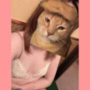 ヒメ日記 2025/04/09 15:51 投稿 茜 るい ハレ系 福岡DEまっとる。