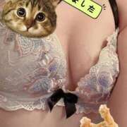 ヒメ日記 2025/07/02 09:48 投稿 茜 るい ハレ系 福岡DEまっとる。